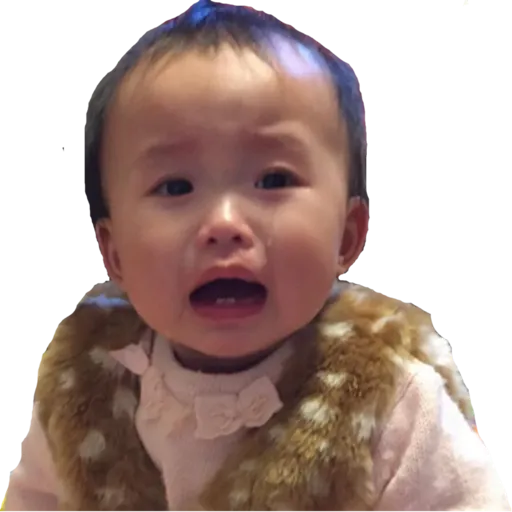 Sticker maker