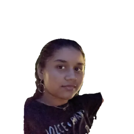 5-steps-shits-sticker-maker